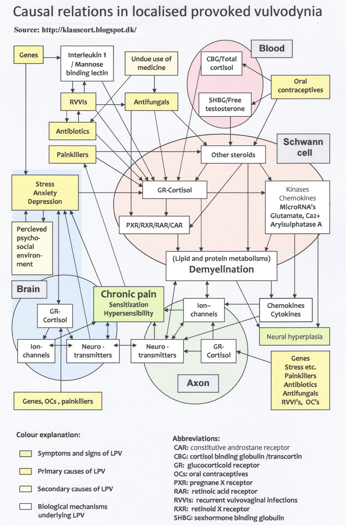 what is vulvodynia