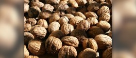 Walnuts vs almonds review