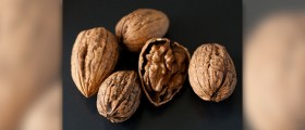 Want better sperm? Eat walnuts!