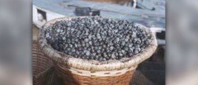 Warning- before you buy acai berry juice
