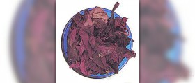 What are dulse benefits