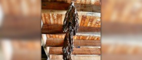 What are the benefits of tobacco