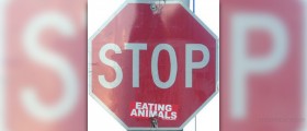 What are the benefits of vegetarianism