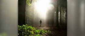 What are the benefits of walking