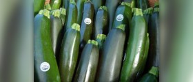 What are the benefits of zucchini