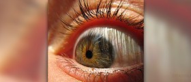 What does it mean when your eye twitches