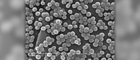 What is MRSA