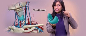 Infertility: Could your thyroid be to blame?