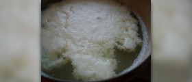 Whey protein benefits