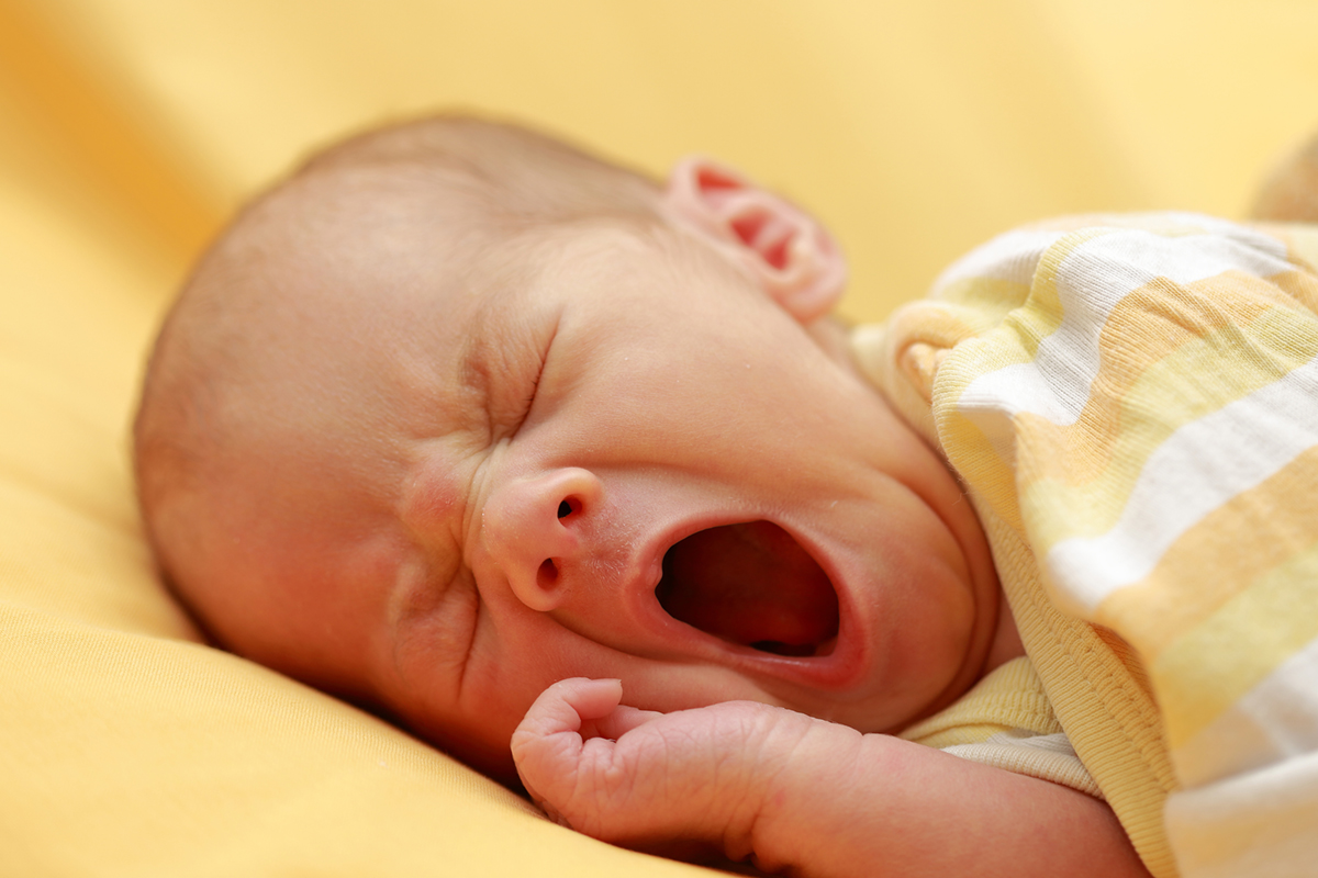 Why Do We Yawn 