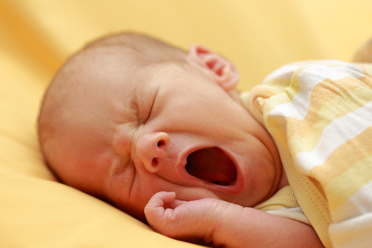 Why Do We Yawn General Center SteadyHealth