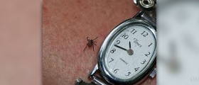 Why is Lyme disease test done