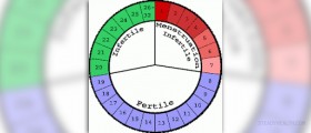 How long does ovulation last?