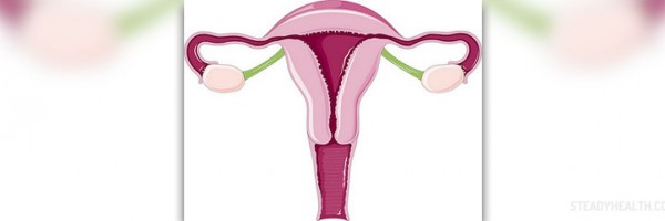 Permanent Birth Control as Female Sterilization: Tubal Ligation Pros and Cons