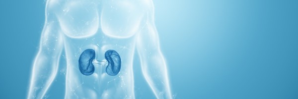 8 Causes You're Bleeding From Your Kidney