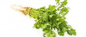 Allergy To Cilantro (Coriander): Symptoms, Diagnosis And Treatment