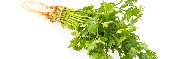 Allergy To Cilantro (Coriander): Symptoms, Diagnosis And Treatment