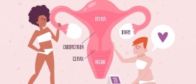 Are Fallopian Tubes Essential For Conception?