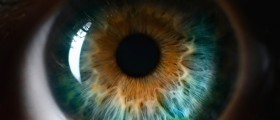 Black Spots In Vision