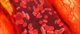 Blood or Blood Clots in Urine or Semen: Hematuria, Hematospermia, and What They Mean for Men