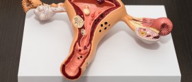 Can I Get Pregnant And Stay Pregnant With A Unicornuate Uterus?