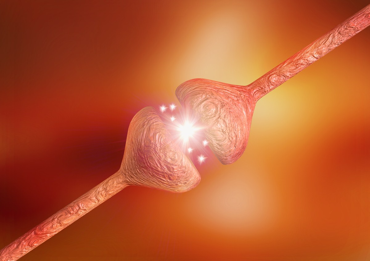 Can Nerve Damage Be Reversed Nervous System Disorders And Diseases 