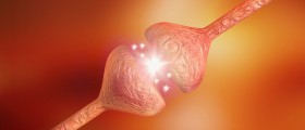 Can Nerve Damage Be Reversed?