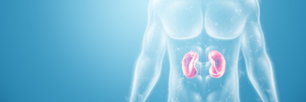 Complications After Nephrectomy (Kidney Removal)