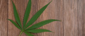Does Marijuana Have An Affect On Body Growth?