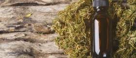 Does Marijuana Help To Build Up Muscle Mass?