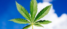 Does Smoking Marijuana Lower Cholesterol?