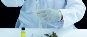 Drug Interactions with Cannabis