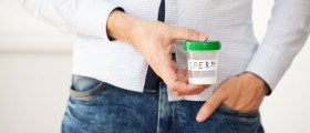 Effect Of Masturbation On The Prostate And Testicles