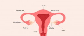 Fallopian Tube Removal – Indications, Procedure, and Side Effects