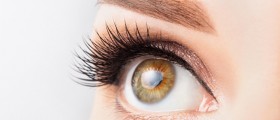 Floaters And Eye Flashes