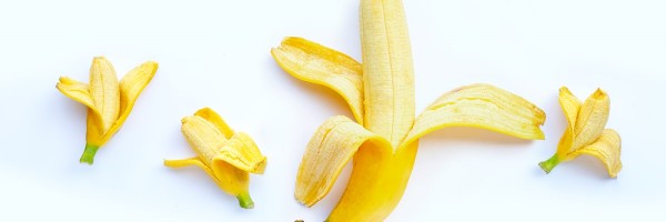 Foreskin Attached To The Head Of The Penis