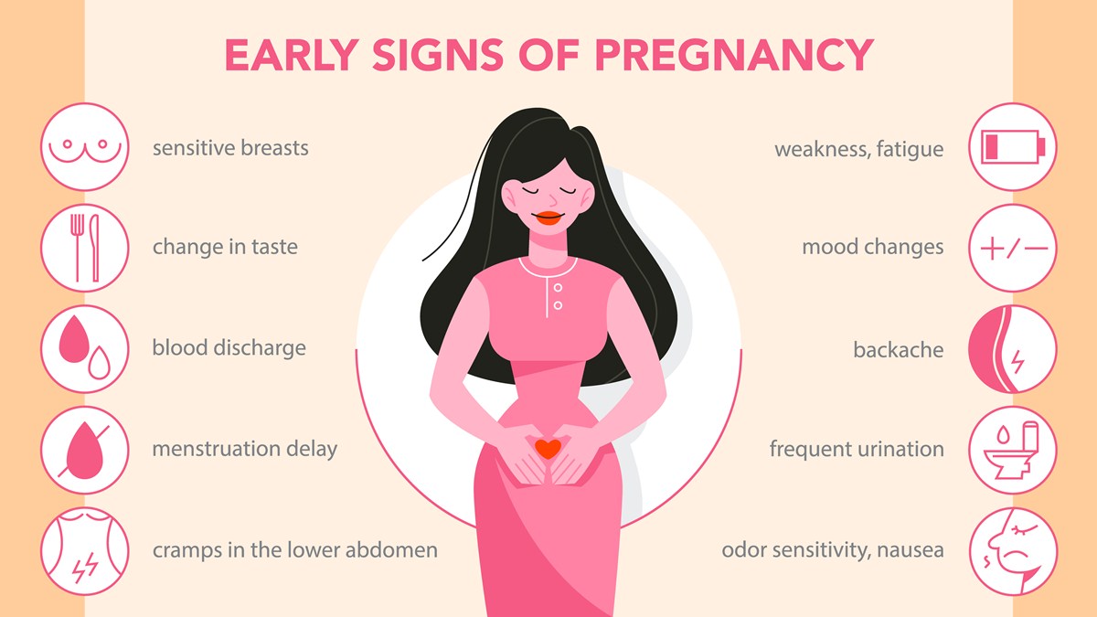 Heavy Implantation Bleeding and Other Signs of Pregnancy, Pregnancy  medical answers, Family Health center