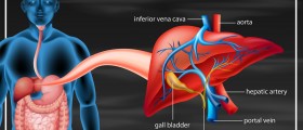 HIDA Scan For Bile Diseases