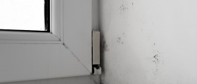 House Molds And Your Health