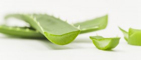 Just The Facts About Aloe Vera Allergy