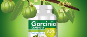 Lineaslim And Garcinia Cambogia As Weight Loss Supplements