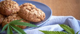 Marijuana, Munchies, Weight Gain, And Weight Loss