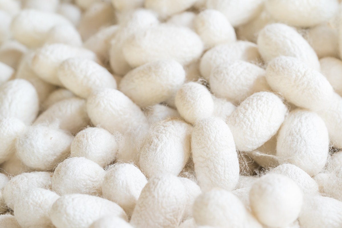 Mothball Odor Hazards Health risks of Mothballs: naphthalene / p