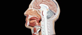 Non-Surgical Treatment Of Acoustic Neuromas