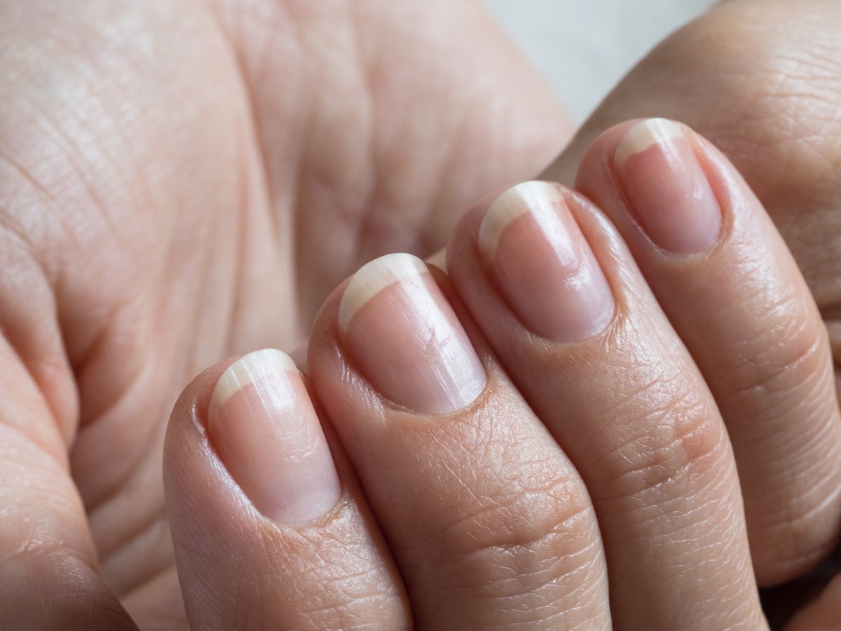 hot-pink-tips-with-soft-pink-nail-beds-black-bows-soft-pink-nails