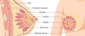 Pimple-Like Bumps On The Aerola Or The Breasts
