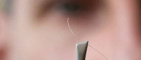 Random Long, White, Thick Hair Strings