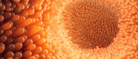 Stomach Cancer And How To Recognize It