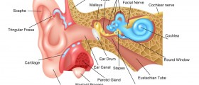 Superior Canal Dehiscence Syndrome: An Overview