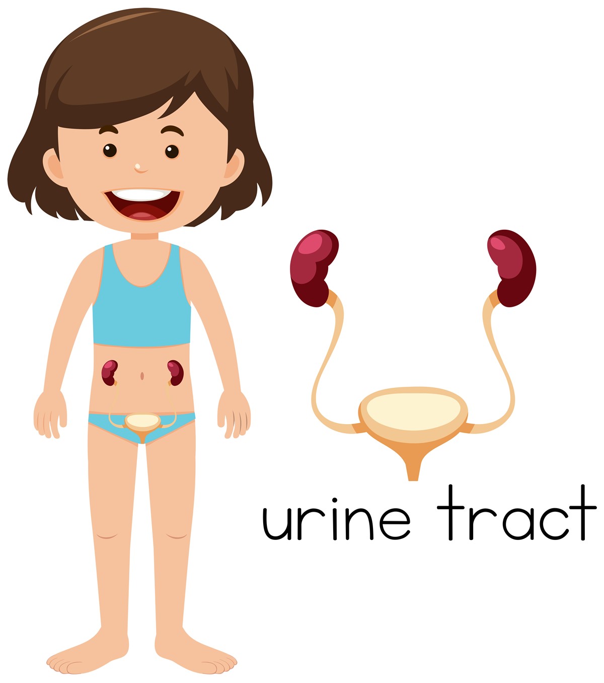 Types of Benign Growths and Lesions on the Urethra | Women's Health